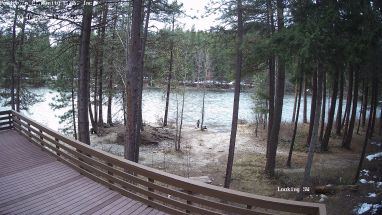 Ponderosa Webcam