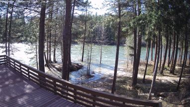 Ponderosa Webcam