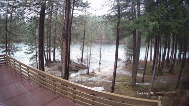 Ponderosa Webcam