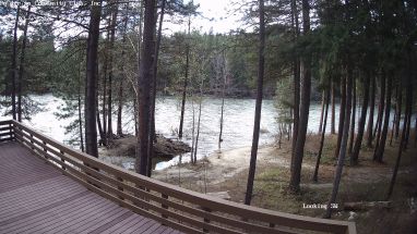 Ponderosa Webcam