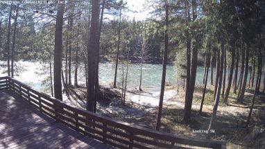 Ponderosa Webcam