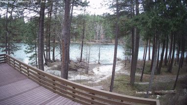 Ponderosa Webcam
