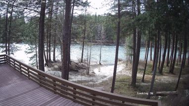 Ponderosa Webcam