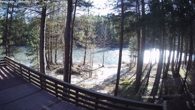 Ponderosa Webcam