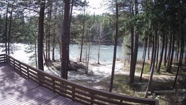 Ponderosa Webcam