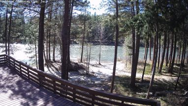 Ponderosa Webcam