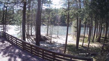 Ponderosa Webcam