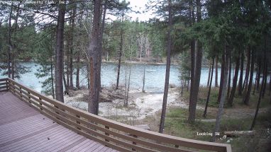 Ponderosa Webcam