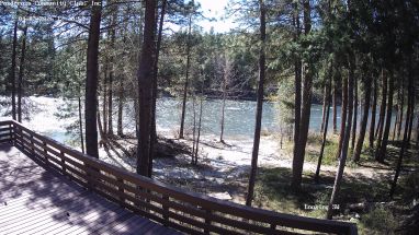 Ponderosa Webcam