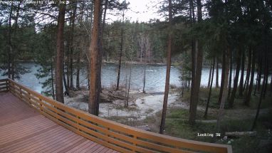 Ponderosa Webcam