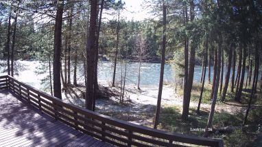 Ponderosa Webcam
