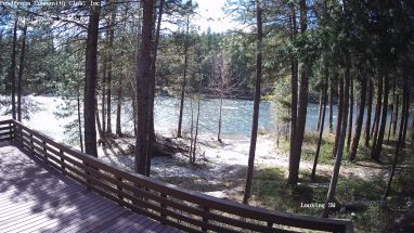 Ponderosa Webcam