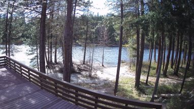 Ponderosa Webcam