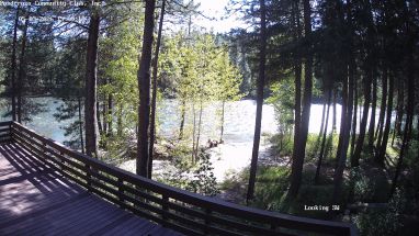 Ponderosa Webcam