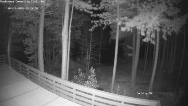 Ponderosa Webcam