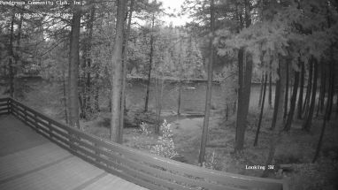 Ponderosa Webcam
