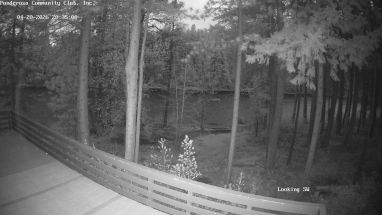 Ponderosa Webcam