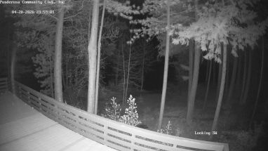 Ponderosa Webcam