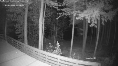 Ponderosa Webcam
