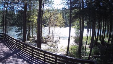 Ponderosa Webcam
