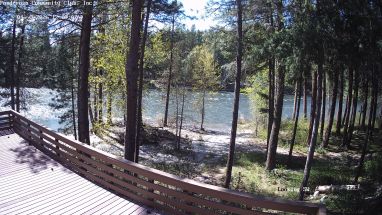 Ponderosa Webcam
