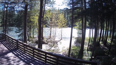 Ponderosa Webcam