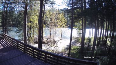 Ponderosa Webcam