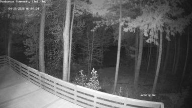 Ponderosa Webcam