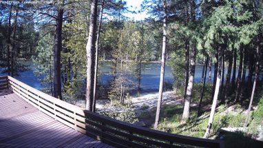 Ponderosa Webcam