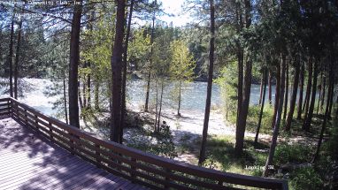 Ponderosa Webcam