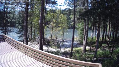 Ponderosa Webcam