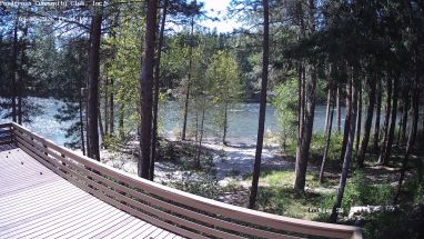 Ponderosa Webcam