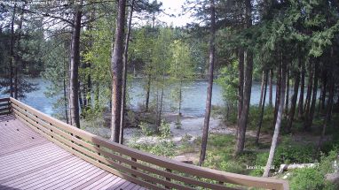 Ponderosa Webcam