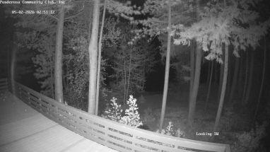 Ponderosa Webcam