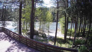 Ponderosa Webcam