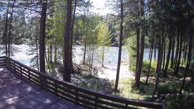 Ponderosa Webcam