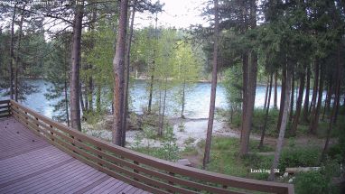 Ponderosa Webcam