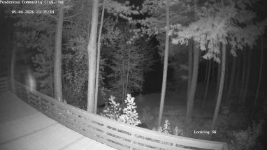 Ponderosa Webcam