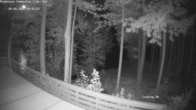 Ponderosa Webcam