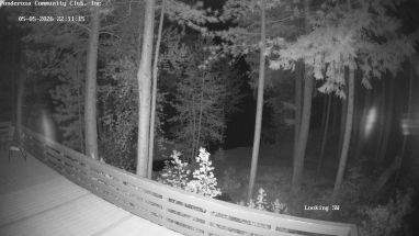 Ponderosa Webcam