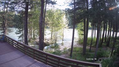 Ponderosa Webcam
