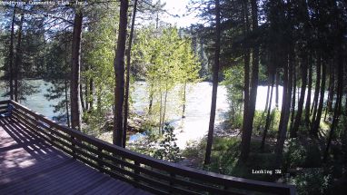 Ponderosa Webcam