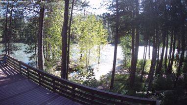 Ponderosa Webcam