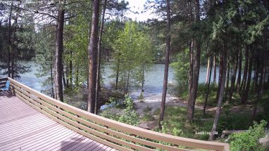 Ponderosa Webcam