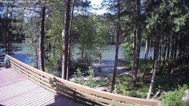 Ponderosa Webcam