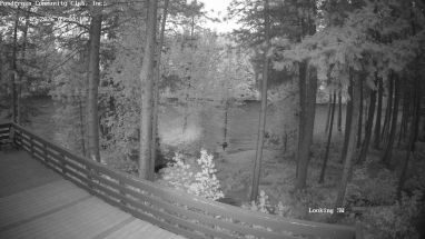 Ponderosa Webcam