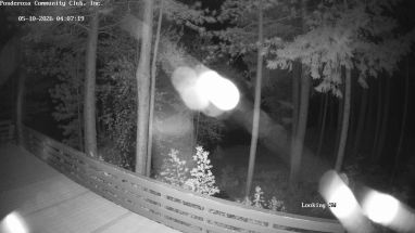 Ponderosa Webcam