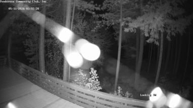Ponderosa Webcam