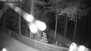 Ponderosa Webcam