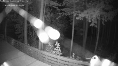 Ponderosa Webcam